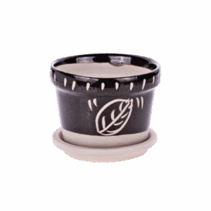 Petite coupelle de plantation